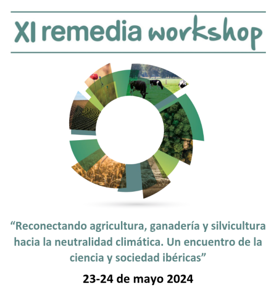 XI remedia Workshop